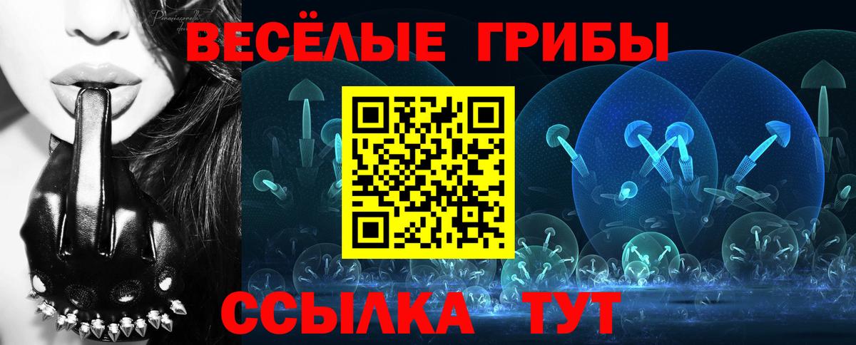 Коряжма  Галлюциногенные грибы прущие грибы  Вход с VPN 