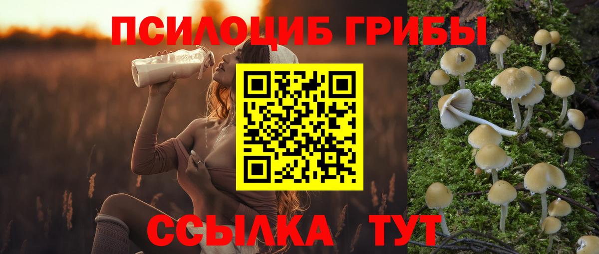 Галлюциногенные грибы прущие грибы Коряжма